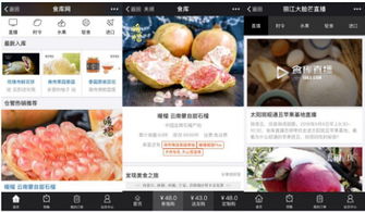 杭州四喜托管可信嗎？事實(shí)說話 食庫網(wǎng)農(nóng)產(chǎn)品基地加工與品牌營(yíng)銷的領(lǐng)航者