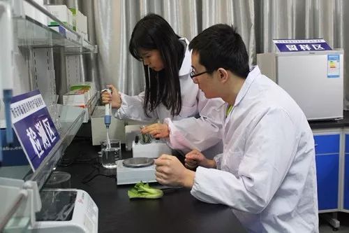 這一年，嚴(yán)字當(dāng)頭 護(hù)航舌尖上的安全，食用農(nóng)產(chǎn)品初加工