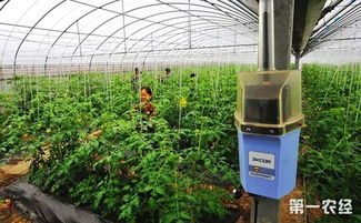 智慧農(nóng)業(yè)新藍(lán)圖 福建推進(jìn)生產(chǎn)智能化 政策紅利助力產(chǎn)業(yè)升級